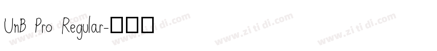 UnB Pro Regular字体转换